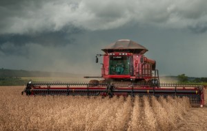 Crescimento acumulado do PIB de Goiás deve alcançar 5,5% em 2023