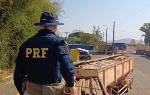 PRF apreende em Uruaçu carreta com mais de R$ 30 mil em madeira ilegal