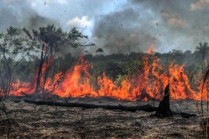 Tempo seco mantém baixa umidade e aumenta risco de queimadas em Goiás